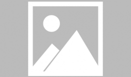 漫画同学会,重温青春岁月，共绘美好回忆